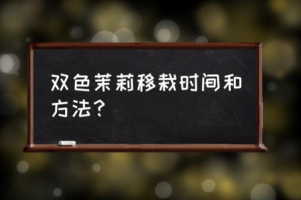 双色茉莉和普通茉莉哪个好养 双色茉莉移栽时间和方法？