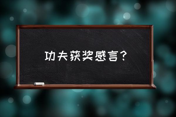 谈谈你对中国武术的认识和感受 功夫获奖感言？