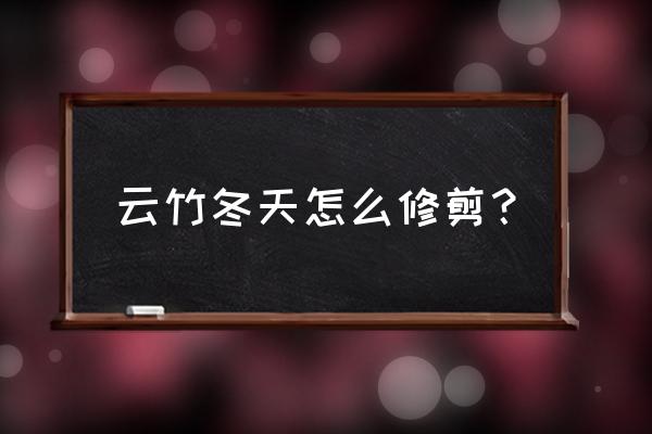 文竹冬天浇水的正确方法 云竹冬天怎么修剪？