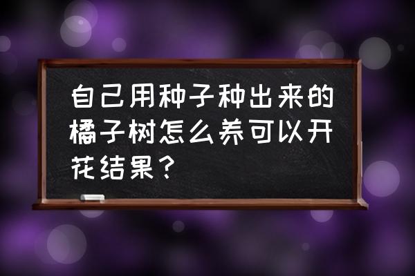 吃橘子籽有什么好处 自己用种子种出来的橘子树怎么养可以开花结果？