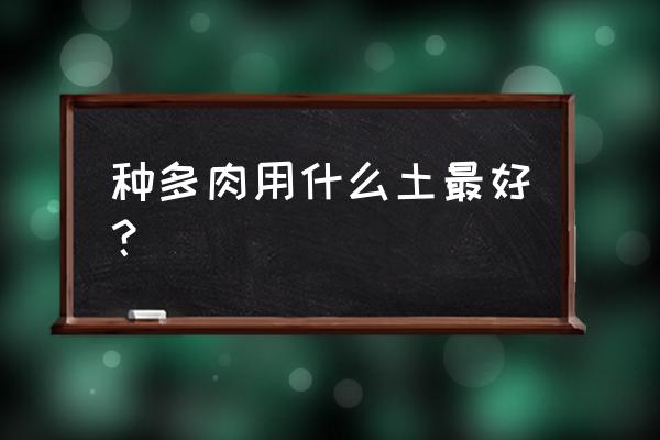 多肉植物的简单搭配 种多肉用什么土最好？