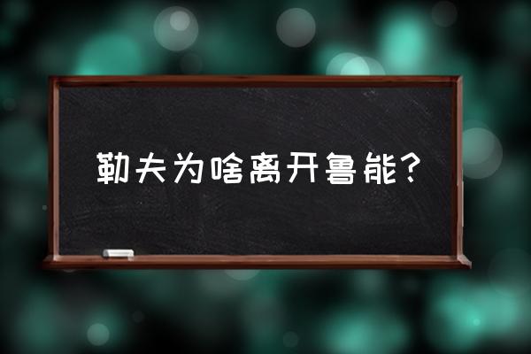 2013中超赛事回放 勒夫为啥离开鲁能？