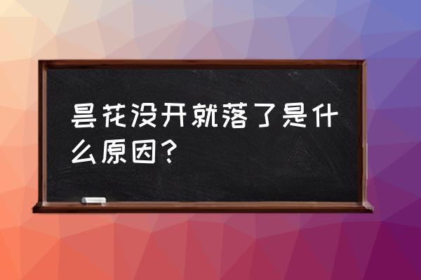 摘下来的昙花可以放冰箱冷藏吗 昙花没开就落了是什么原因？