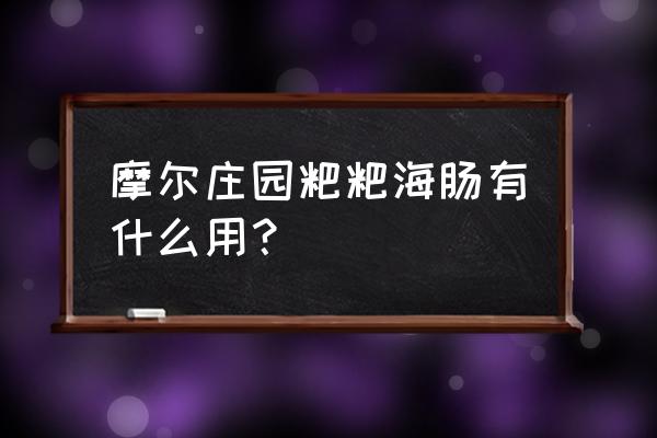 摩尔庄园手游餐厅家具可以买吗 摩尔庄园粑粑海肠有什么用？