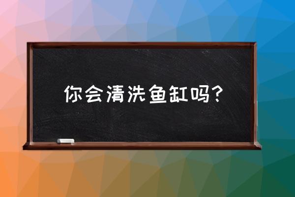 鱼缸清洗妙招教你一招 你会清洗鱼缸吗？