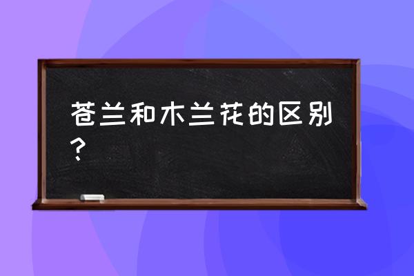 北方的木本植物药材 苍兰和木兰花的区别？