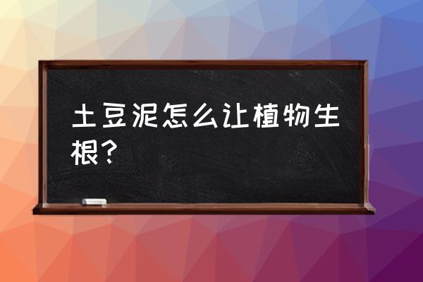 用土豆扦插月季生根最快的办法 土豆泥怎么让植物生根？