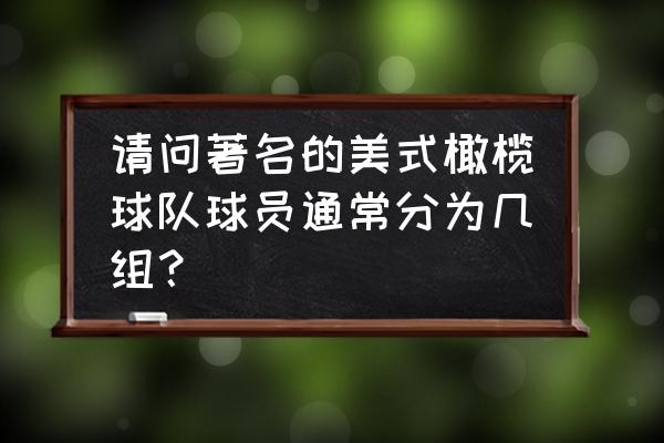 哪个牌子的橄榄球护具好 请问著名的美式橄榄球队球员通常分为几组？