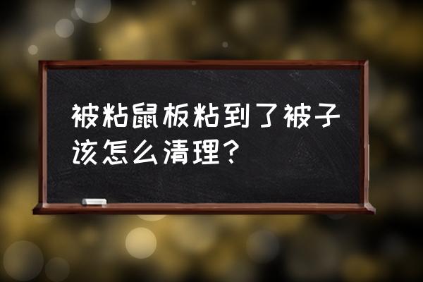 被老鼠爬过的被子怎么处理 被粘鼠板粘到了被子该怎么清理？