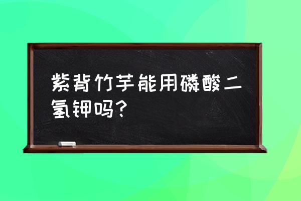 紫背竹芋冬天怎么养 紫背竹芋能用磷酸二氢钾吗？