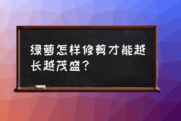 养残了的绿萝柱怎么修剪 绿萝怎样修剪才能越长越茂盛？