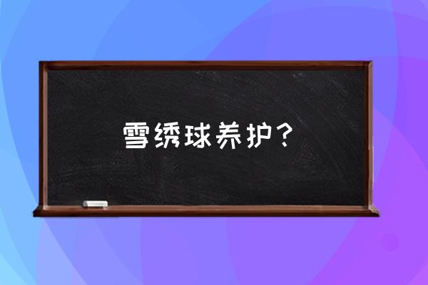 冬天的绣球花怎么养护 雪绣球养护？