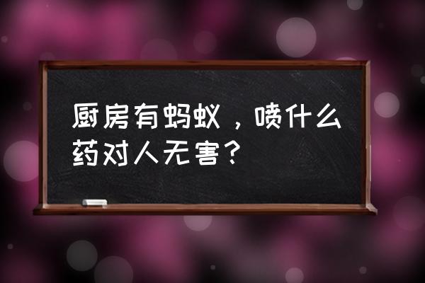 如何去掉家里厨房的蚂蚁 厨房有蚂蚁，喷什么药对人无害？