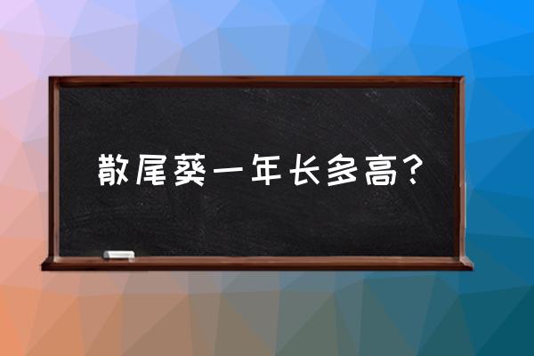 散尾葵一年能长几厘米 散尾葵一年长多高？