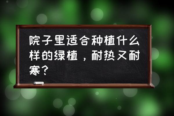 什么植物最好在春天里养还更方便 院子里适合种植什么样的绿植，耐热又耐寒？