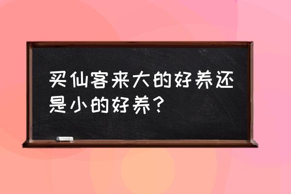 怎么挑选仙客来盆栽 买仙客来大的好养还是小的好养？