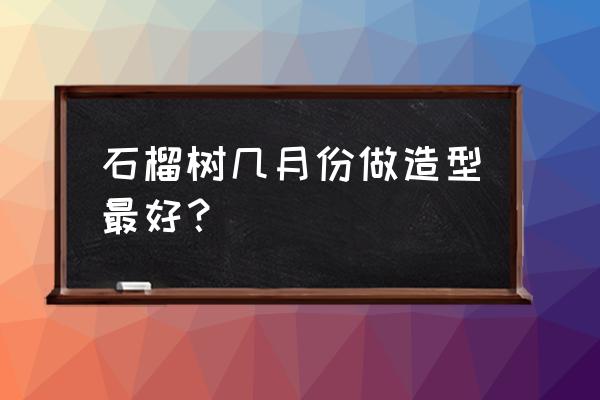 盆栽石榴的最佳时间 石榴树几月份做造型最好？