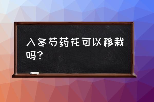 芍药冬天怎么养才能安全过冬 入冬芍药花可以移栽吗？