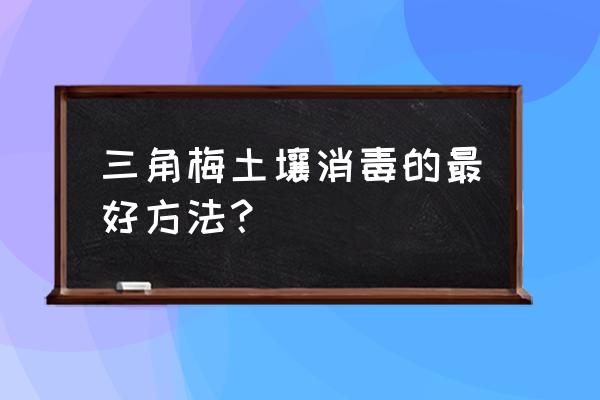 花盆中的土壤有细菌怎么办 三角梅土壤消毒的最好方法？