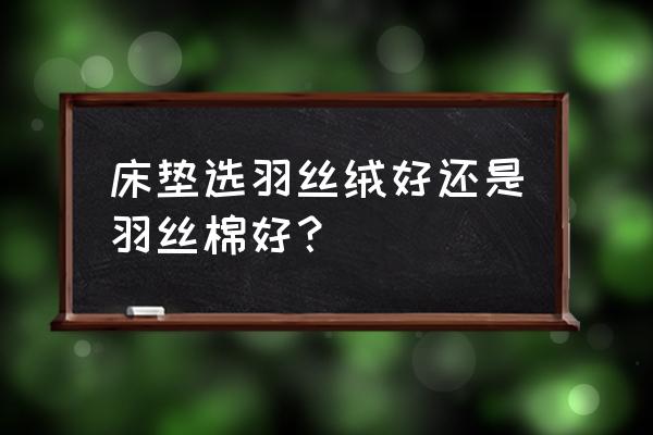 专业人士教你选床垫 床垫选羽丝绒好还是羽丝棉好？