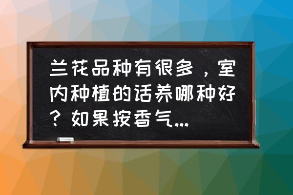 冬季室内养什么花对人好 兰花品种有很多，室内种植的话养哪种好？如果按香气排名的话，什么品种的兰花最香？