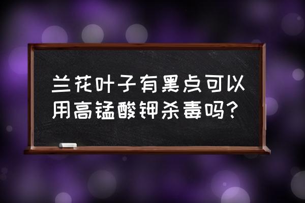 兰花叶子长黑斑怎么治 兰花叶子有黑点可以用高锰酸钾杀毒吗？