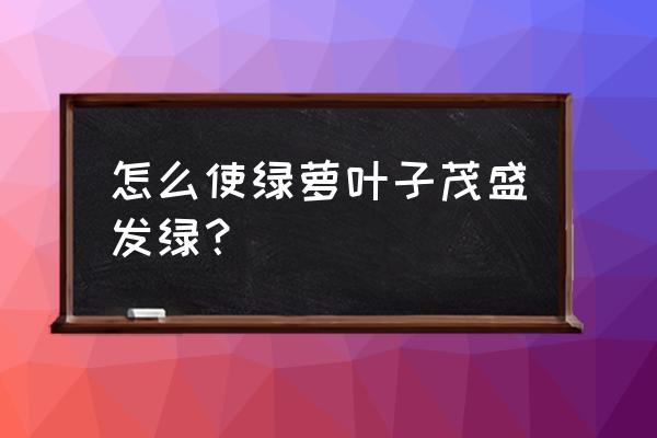 绿萝浇什么水长得快不黄叶 怎么使绿萝叶子茂盛发绿？