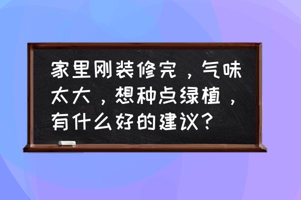 自制门的装饰品 家里刚装修完，气味太大，想种点绿植，有什么好的建议？