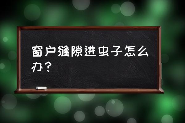 窗户缝里有虫子爬进来怎么办 窗户缝隙进虫子怎么办？