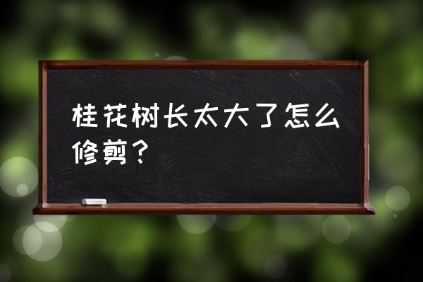 大型桂花树的修剪方法 桂花树长太大了怎么修剪？