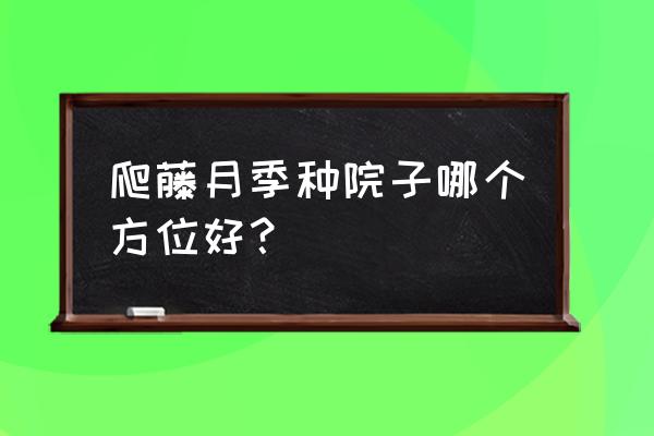 lol爬坑选哪个位置 爬藤月季种院子哪个方位好？