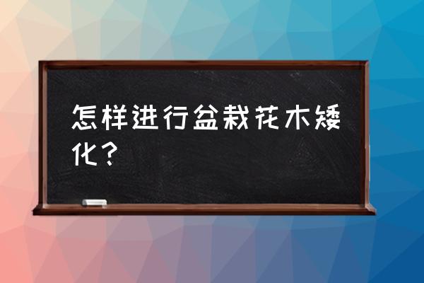 盆栽矮化最佳方法 怎样进行盆栽花木矮化？