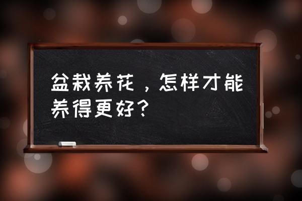 最方便家里养花办法 盆栽养花，怎样才能养得更好？