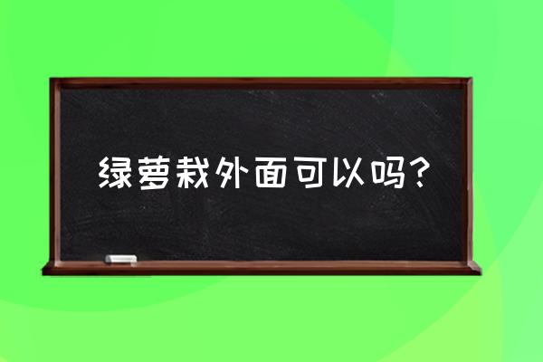 绿萝适合在室外养还是室内养 绿萝栽外面可以吗？