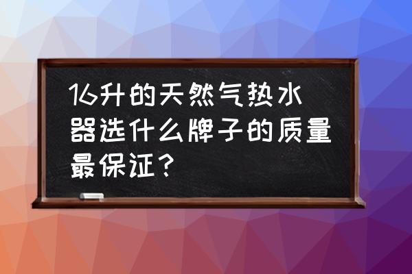 口碑最好的三款燃气热水器 16升的天然气热水器选什么牌子的质量最保证？