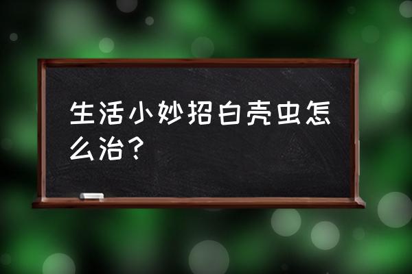 铁树的果子怎么吃才没毒 生活小妙招白壳虫怎么治？