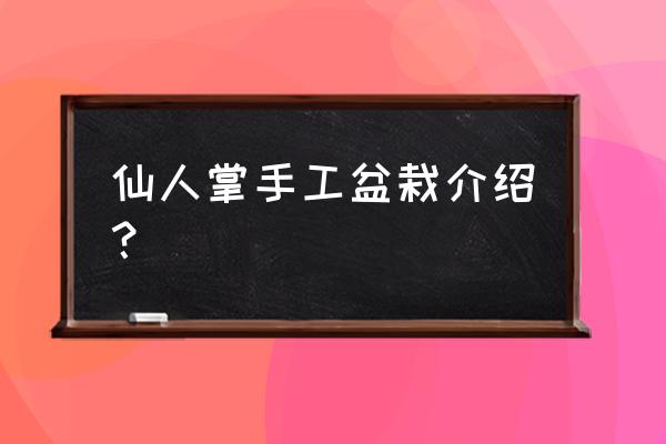 手工制作仙人掌旁边还可以加什么 仙人掌手工盆栽介绍？