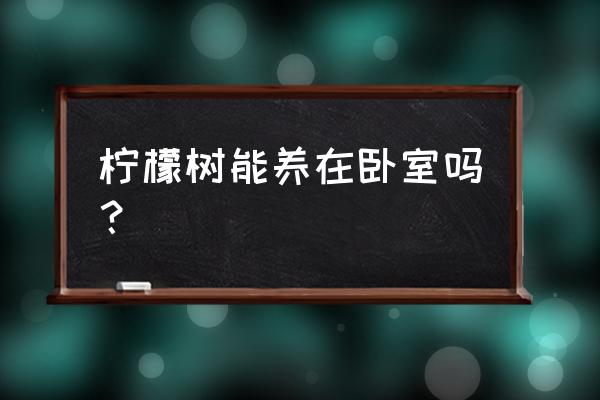 家里养柠檬树有什么讲究吗 柠檬树能养在卧室吗？