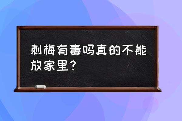 铁海棠为什么不能在室内养殖 刺梅有毒吗真的不能放家里？