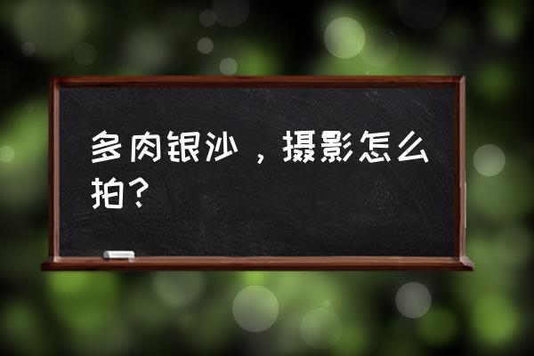 可爱陶艺多肉花盆 多肉银沙，摄影怎么拍？