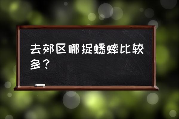 如何自制空心砖花盆 去郊区哪捉蟋蟀比较多？