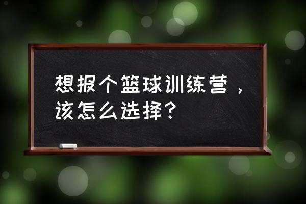 成年人零基础的篮球训练营 想报个篮球训练营，该怎么选择？