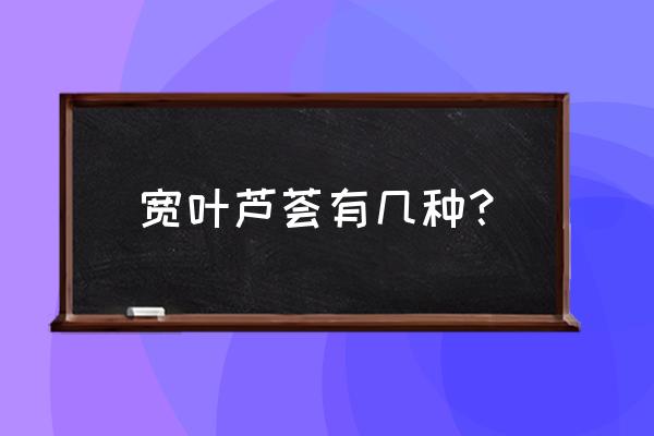 十种不宜吃的芦荟 宽叶芦荟有几种？