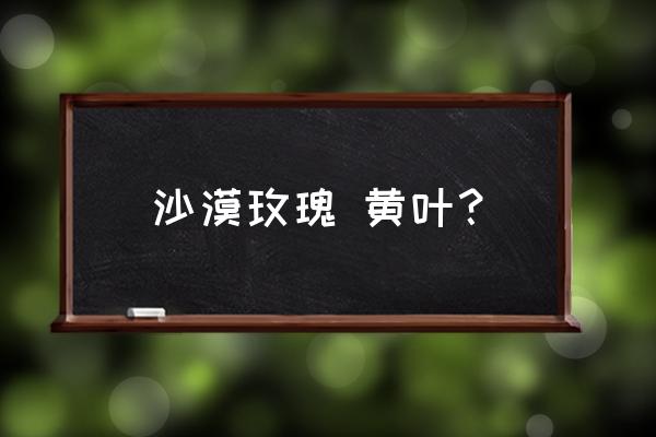 沙漠玫瑰叶子发黄发黑的原因 沙漠玫瑰 黄叶？