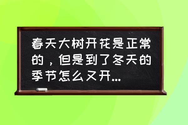 春日吃花的正确方法 春天大树开花是正常的，但是到了冬天的季节怎么又开始开花儿了呢？