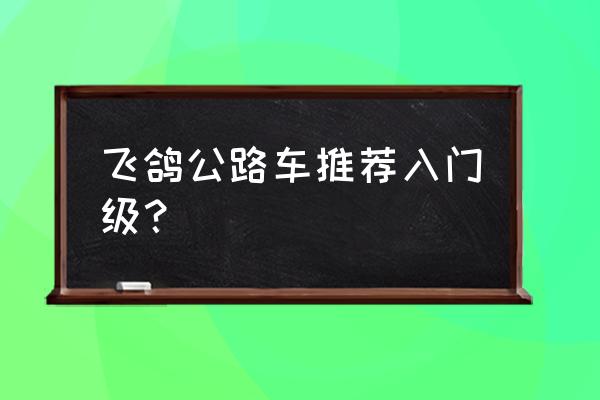 十大入门级碳纤维公路车自行车 飞鸽公路车推荐入门级？