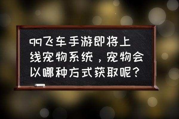 飞车手游宠物最新排名 qq飞车手游即将上线宠物系统，宠物会以哪种方式获取呢？