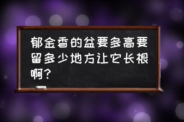 郁金香适合什么花盆养 郁金香的盆要多高要留多少地方让它长根啊？