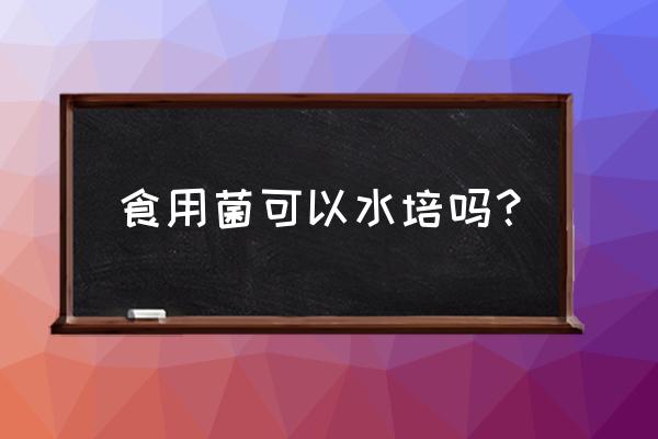 家庭园艺肥料可以泡水浇花吗 食用菌可以水培吗？