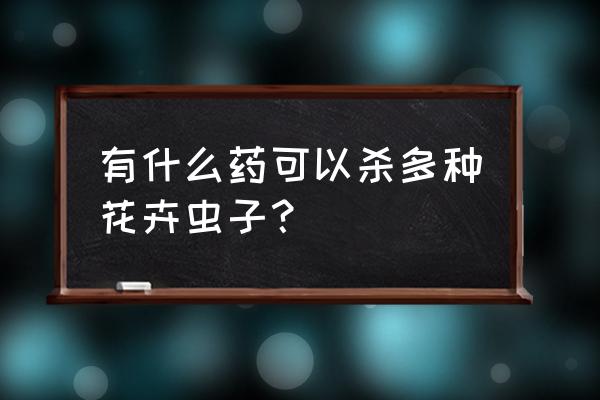 花卉用过打虫药能放在室内吗 有什么药可以杀多种花卉虫子？